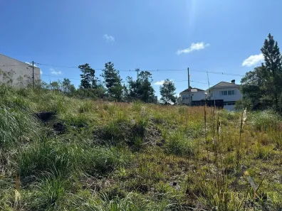 Lote/Terreno à venda, 564m² no São Luiz, Caxias do Sul