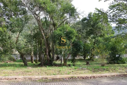 Lote/Terreno à venda, 452m² no Ratones, Florianópolis
