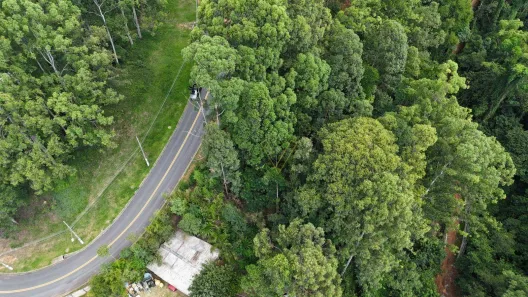 Lote/Terreno à venda, 1425m² no Residencial Tamboré, Barueri