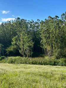 Lote/Terreno à venda, 500m² no Jardim da Glória, Cotia