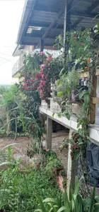 Casa com 2 Quartos à venda, 110m² no Forquilhas, São José