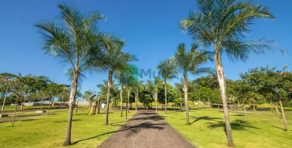 Lote/Terreno à venda, 254m² no Loteamento Santa Marta, Ribeirão Preto