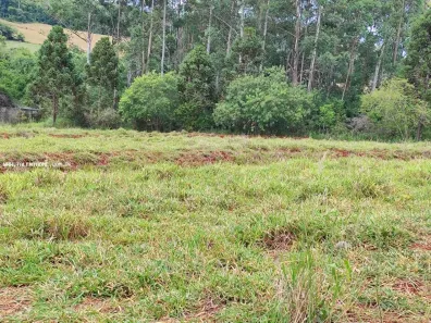 Lote/Terreno à venda, 1000m² no , Ibiporã