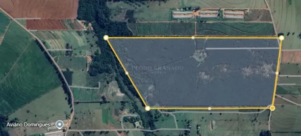 Fazenda/Sítio à venda, 847000m² no Barão de Lucena, Nova Esperança