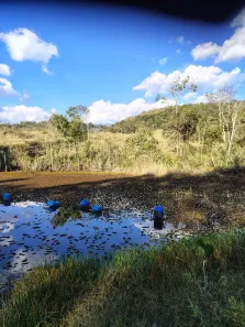 Fazenda/Sítio à venda, 72000m² no , Monte Santo de Minas