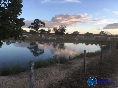 Lote/Terreno à venda, 142m² no Setor Central, Fazenda Nova