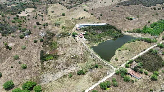 Fazenda/Sítio à venda, 600000m² no , Altinho