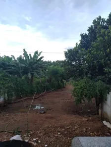 Fazenda/Sítio com 2 Quartos para alugar, 340m² no Vila Irany, Goiânia