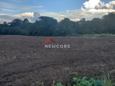 Fazenda/Sítio com 1 Quarto à venda, 28000m² no Colônia Murici, São José dos Pinhais