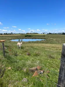Lote/Terreno à venda, 20000m² no , Urupema