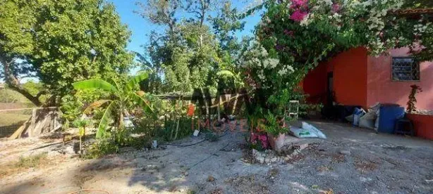 Fazenda/Sítio com 2 Quartos à venda, 4000m² no , Nazário