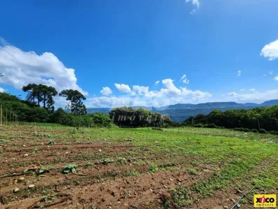 Fazenda/Sítio com 1 Quarto à venda, 5000m² no Nossa Senhora do Rosário, Caxias do Sul