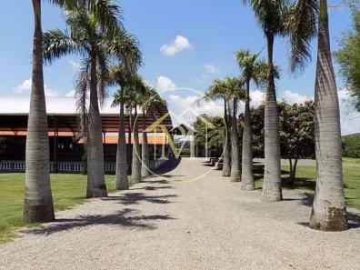 Fazenda/Sítio com 4 Quartos à venda, 484000m² no Centro, Tatuí