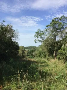 Fazenda/Sítio à venda, 68000m² no , Triunfo