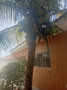 Casa com 3 Quartos à venda, 145m² no Parque Quinta das Paineiras, São José do Rio Preto