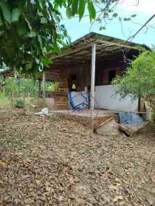 Fazenda/Sítio com 2 Quartos à venda, 13500m² no Tucumanzal, Porto Velho