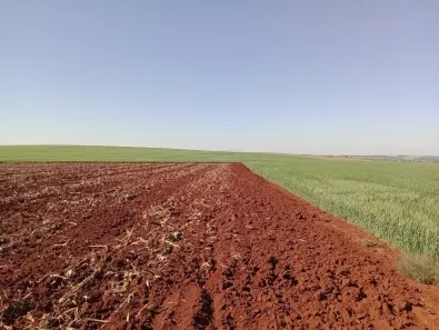 Fazenda/Sítio com 1 Quarto à venda, 9897800m² no Área Rural de Avaré, Avaré