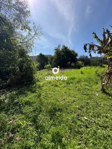 Fazenda/Sítio com 1 Quarto à venda, 3836m² no Nossa Senhora do Perpétuo Socorro, Santa Maria