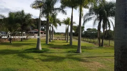 Lote/Terreno à venda, 2300m² no Brasília, Londrina