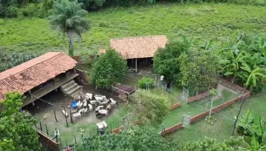 Fazenda/Sítio com 4 Quartos à venda, 12000000m² no Centro, Altos