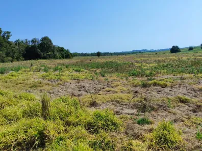 Fazenda/Sítio com 1 Quarto à venda, 992200m² no Área Rural de Itapetininga, Itapetininga