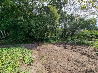 Lote/Terreno à venda, 407m² no Rio Tavares, Florianópolis