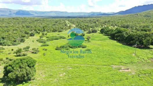 Fazenda/Sítio com 2 Quartos à venda, 3436m² no , Paranã