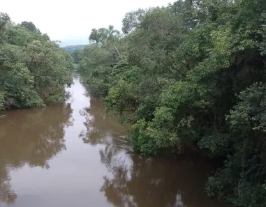 Fazenda/Sítio com 1 Quarto à venda, 30250000m² no , Sete Barras