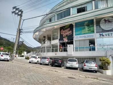 Sala Comercial para alugar, 38m² no Córrego Grande, Florianópolis