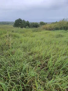 Fazenda/Sítio com 5 Quartos à venda, 400000m² no , Monte Alegre