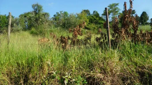 Lote/Terreno à venda, 10330m² no Chácaras Alpina, Valinhos