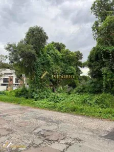 Lote/Terreno à venda, 595m² no Barreirinha, Curitiba