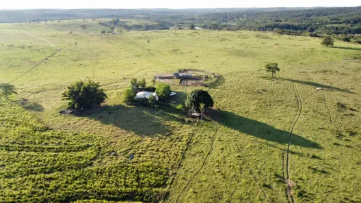 Fazenda/Sítio à venda, 700m² no , Camapuã