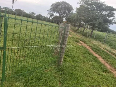 Fazenda/Sítio à venda, 57500m² no Zona Rural, Neves Paulista