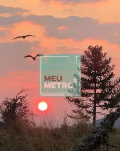 Lote/Terreno à venda, 3999000m² no Rio Porteira, Bom Jardim da Serra