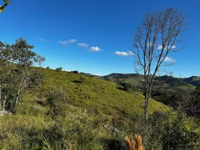 Fazenda/Sítio à venda, 20000m² no Jardim Ana Maria, Cambuí