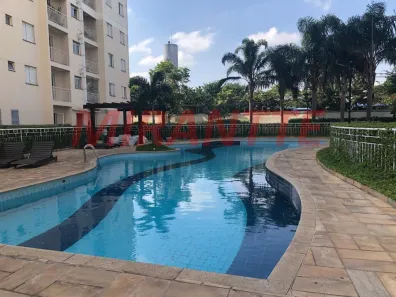 Apartamento com 3 Quartos à venda, 63m² no Vila Guilherme, São Paulo