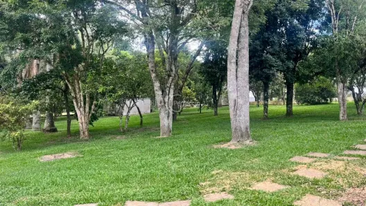 Lote/Terreno à venda, 1295m² no Pedancino, Caxias do Sul