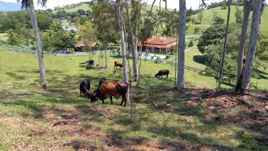 Fazenda/Sítio com 4 Quartos à venda, 200000m² no Papucaia, Cachoeiras de Macacu