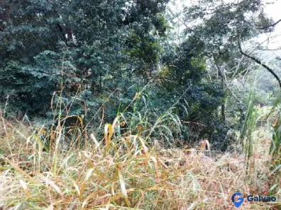 Lote/Terreno à venda, 3039m² no Caxambu, Jundiaí
