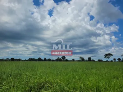 Fazenda/Sítio à venda, 500m² no , Britânia