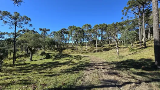 Fazenda/Sítio à venda, 40m² no , Rio Rufino