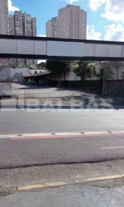 Lote/Terreno para alugar, 1164m² no Belenzinho, São Paulo