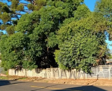 Lote/Terreno à venda, 984m² no Uvaranas, Ponta Grossa