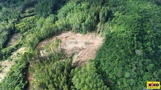 Fazenda/Sítio com 1 Quarto à venda, 5000m² no Nova Petrópolis, Nova Petrópolis