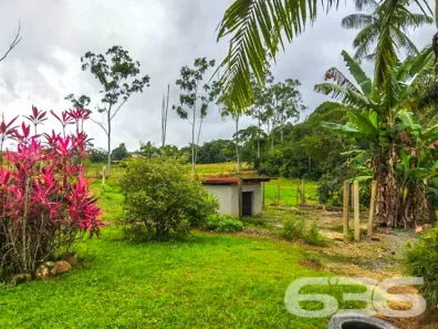 Fazenda/Sítio com 3 Quartos à venda, 176m² no Vila Nova, Joinville