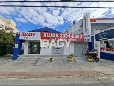 Ponto Comercial com 5 Quartos para alugar, 110m² no Trindade, Florianópolis