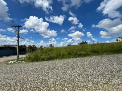 para alugar, 250m² no São Roque, Divinópolis