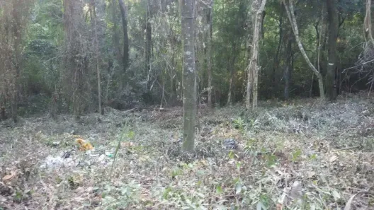 Lote/Terreno à venda, 20000m² no Jardim Portugal, Valinhos