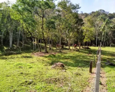 Lote/Terreno à venda, 43356m² no Itoupava Central, Blumenau